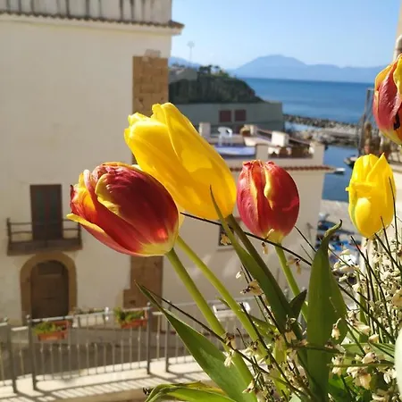 Summer Dream La Casa Sul Mare Appartement *