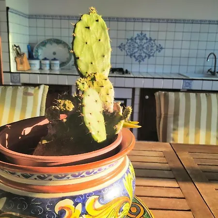 Summer Dream La Casa Sul Mare Appartement *